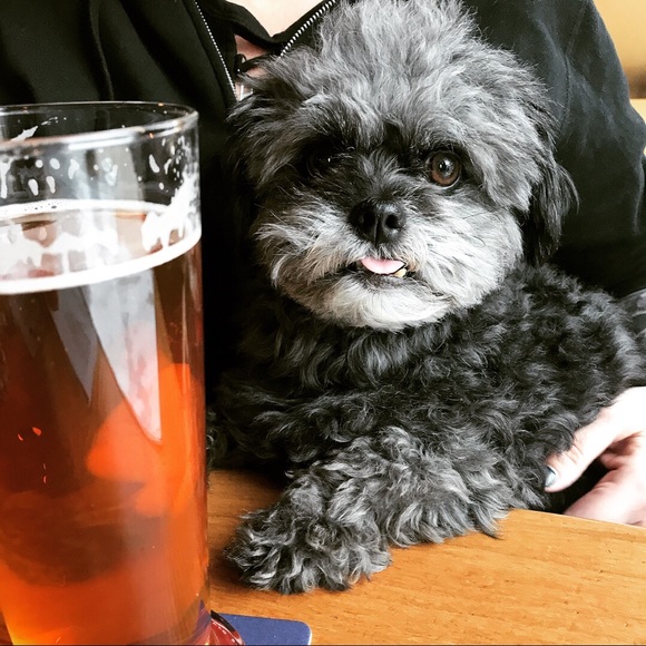 Must sell by May 24th - moving to the U.K. 🌈✌🏽🌼 - Picture 3 of 5